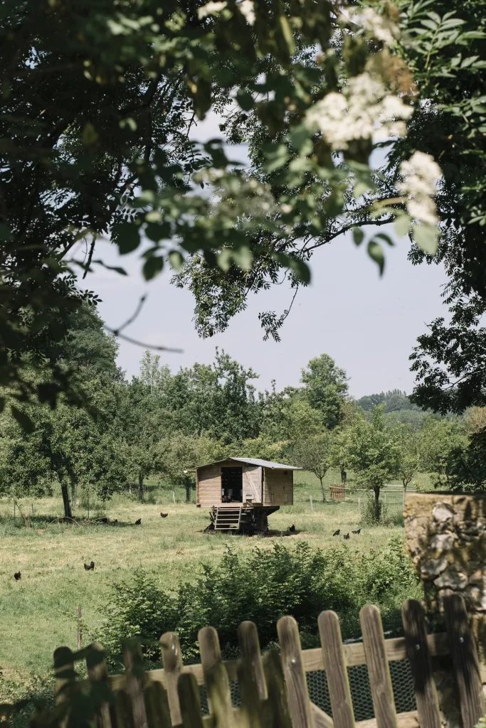 Ferme des cocottes ©Nos Coeurs Voyageurs 