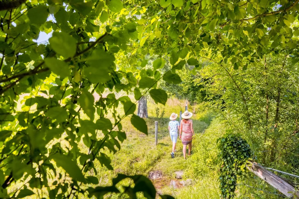 Wandern Sie auf dem Aalpfad