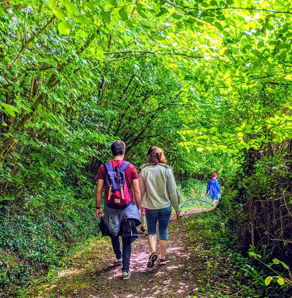 Sentier du lavoir_Beuzeville