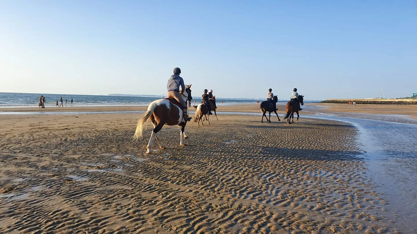 Horseback riding on the beach_Morelle equestrian center