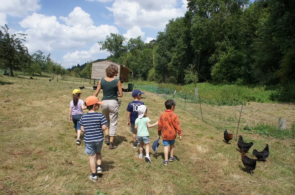 La Ferme des cocottes_Saint-Maclou