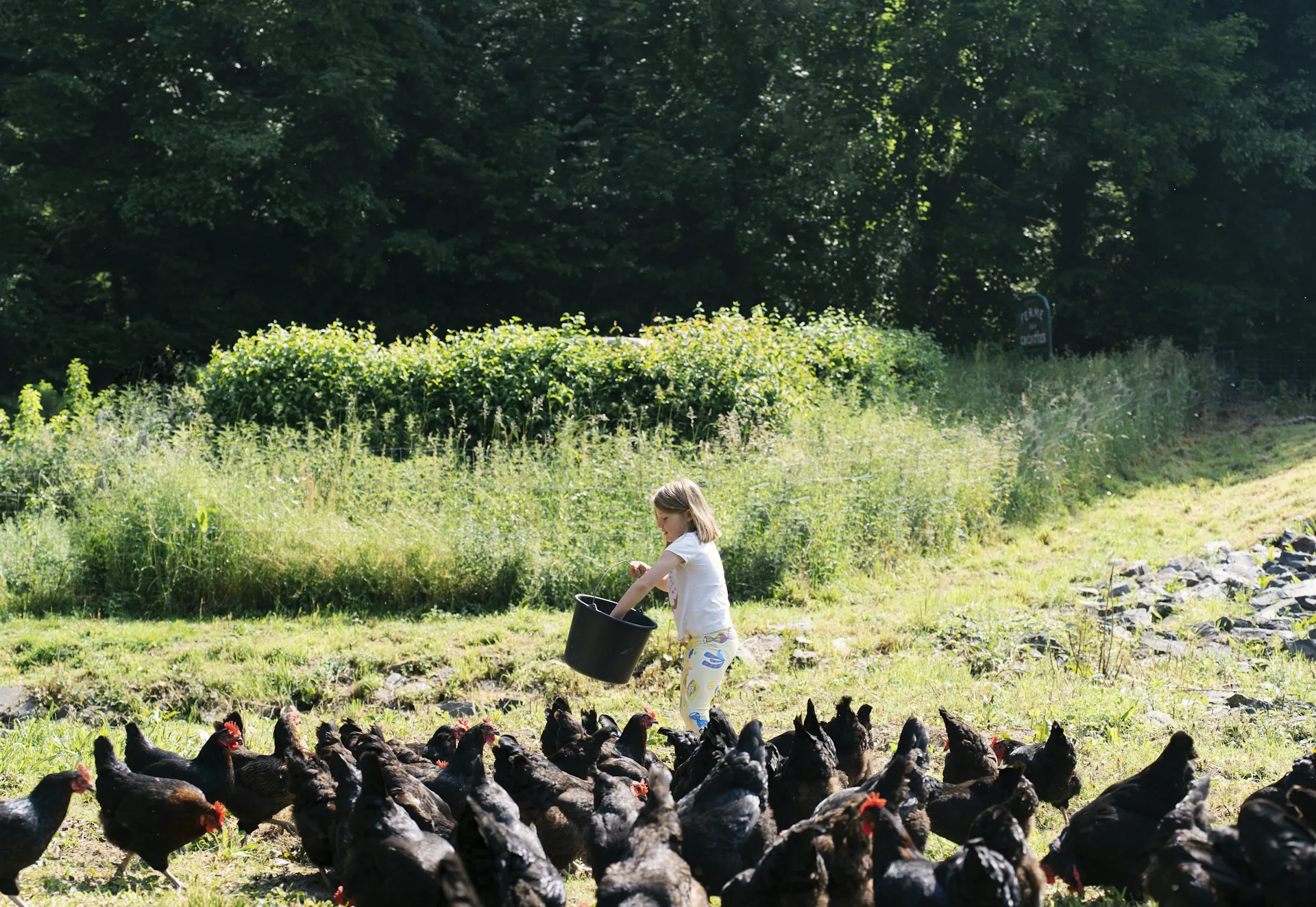 La ferme des cocottes_Nos coeurs voyageurs