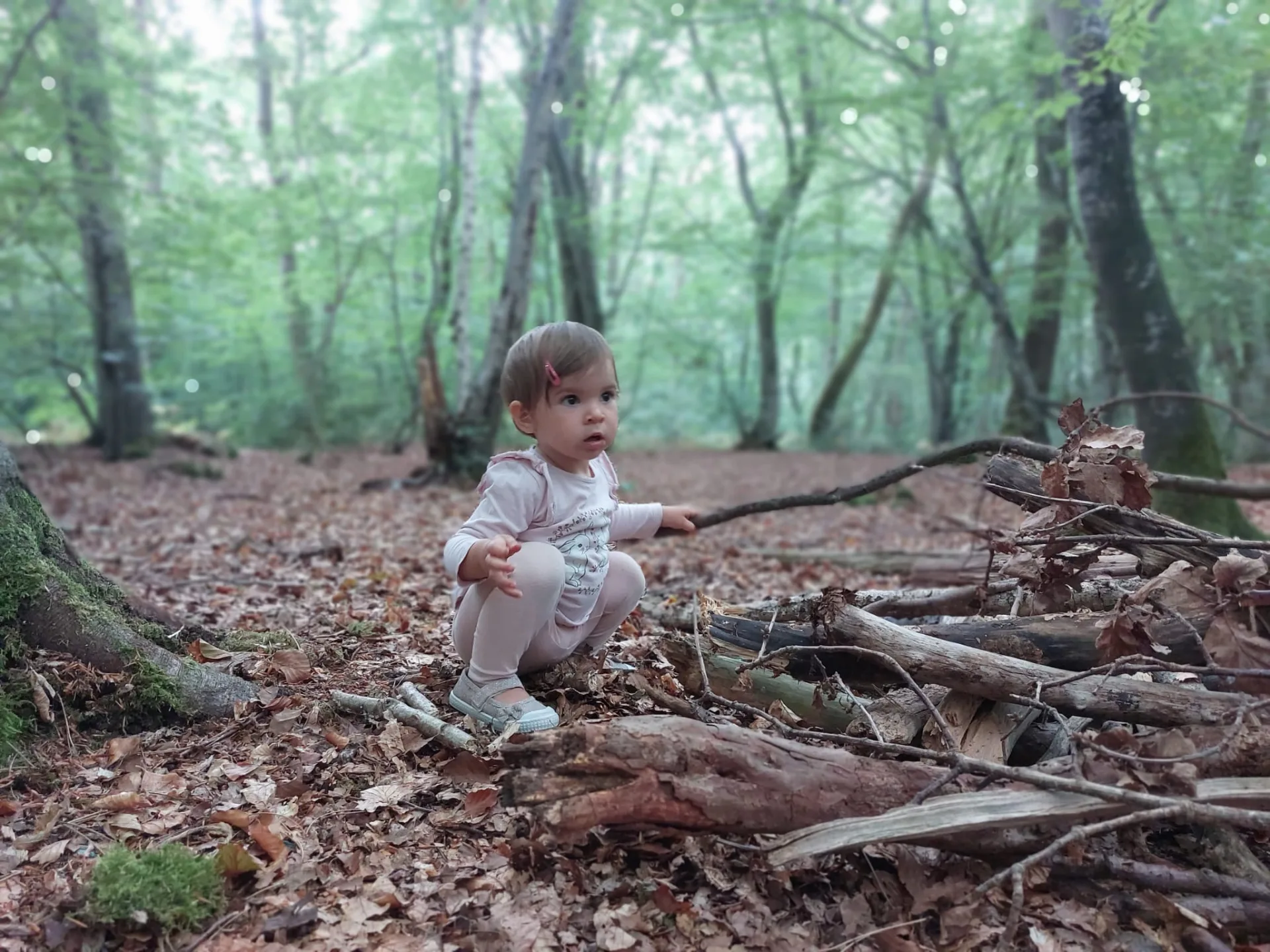 Toddlers' walk_Bois du Breuil