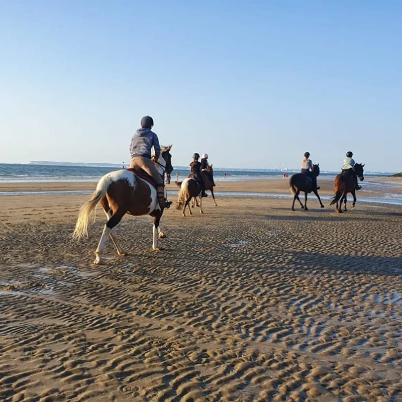Reiten am Strand_Reitzentrum Morelle