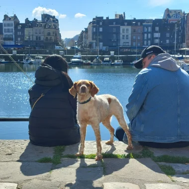Quoi faire à Honfleur avec son chien?