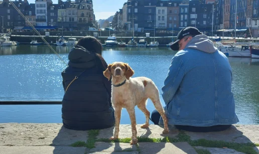 Quoi faire à Honfleur avec son chien?
