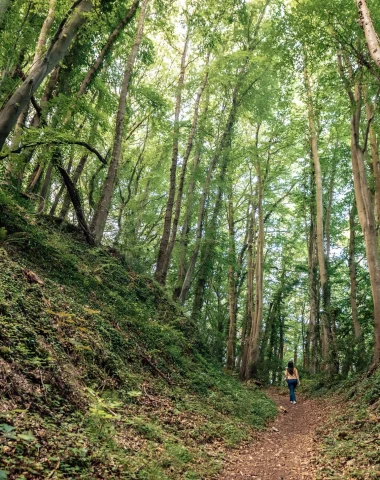Honfleur hiking BOIS DU BREUIL_photo report Honfleur x TTW Production