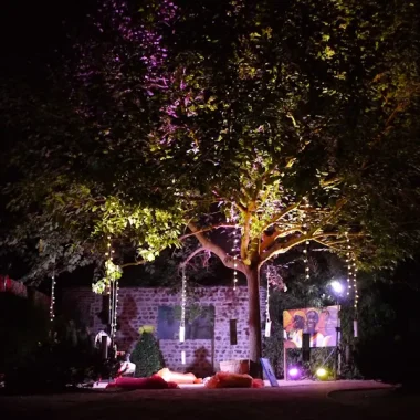 La Nuit des Artistes_Honfleur© francois louchet