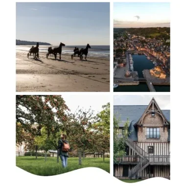 UNE Guide du partenaire 2025 Office de tourisme Honfleur