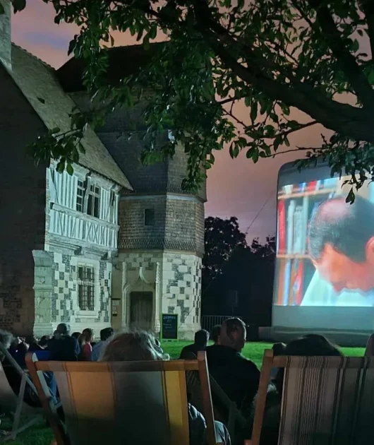 Open-Air-Kino 2024_Desert Manor