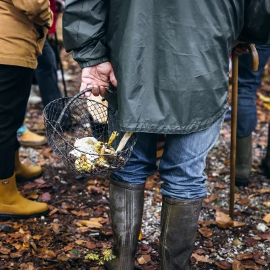 rando champignons_automne