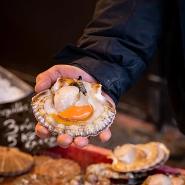 Où manger des fruits de mer ?