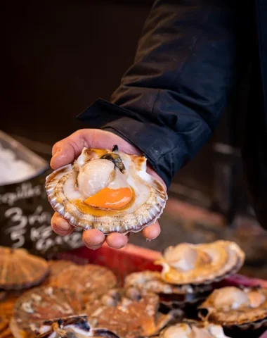 Où manger des fruits de mer ?