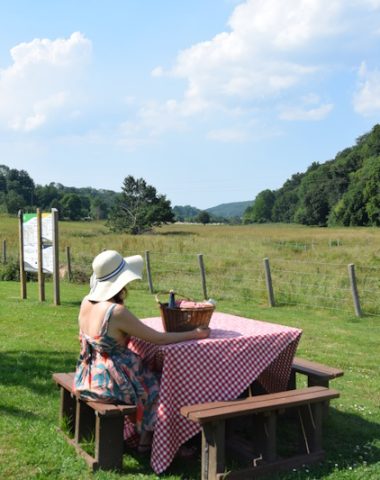 The picnic spots