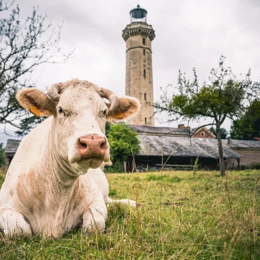 Autour de Honfleur