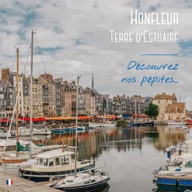Découvrez nos pépites