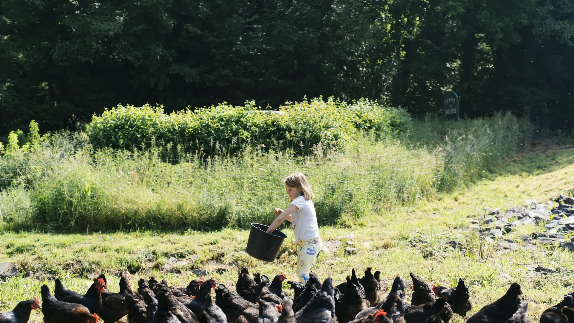 La ferme des cocottes_Nos coeurs voyageurs