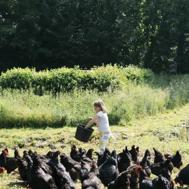 La ferme des cocottes_Nos coeurs voyageurs