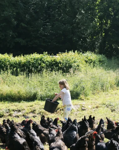 La ferme des cocottes_Nos coeurs voyageurs