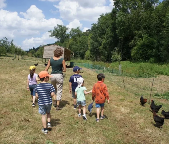 La Ferme des cocottes_Saint-Maclou