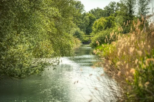 BERVILLE SUR MER WEB -® Vincent Rustuel
