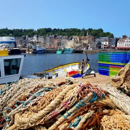 Port de pêche Honfleur